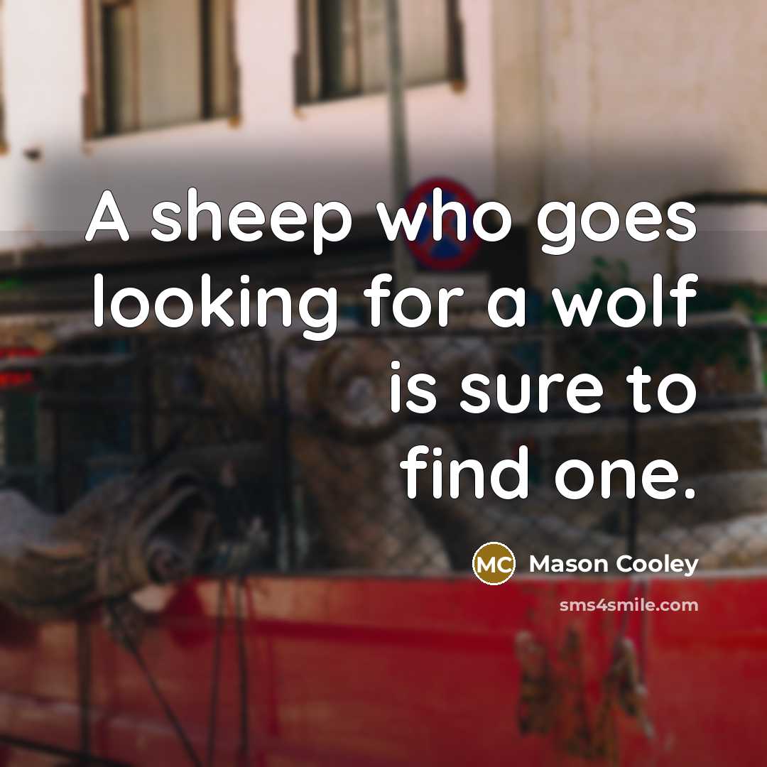 “A sheep who goes looking for a wolf is sure…” quote by Mason Cooley