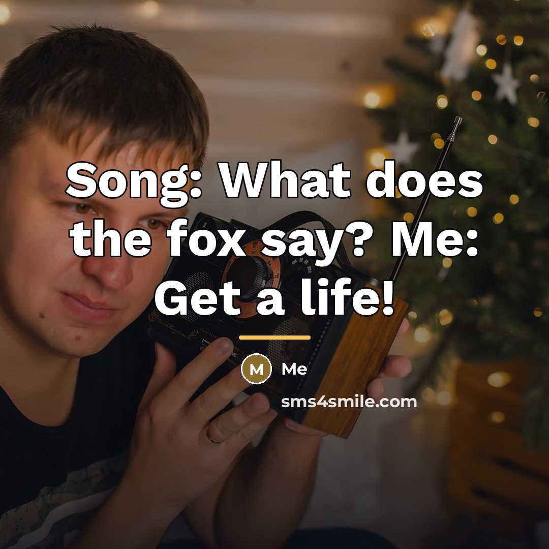 “Song: What does the fox say? Me: Get a life!…” quote by Me
