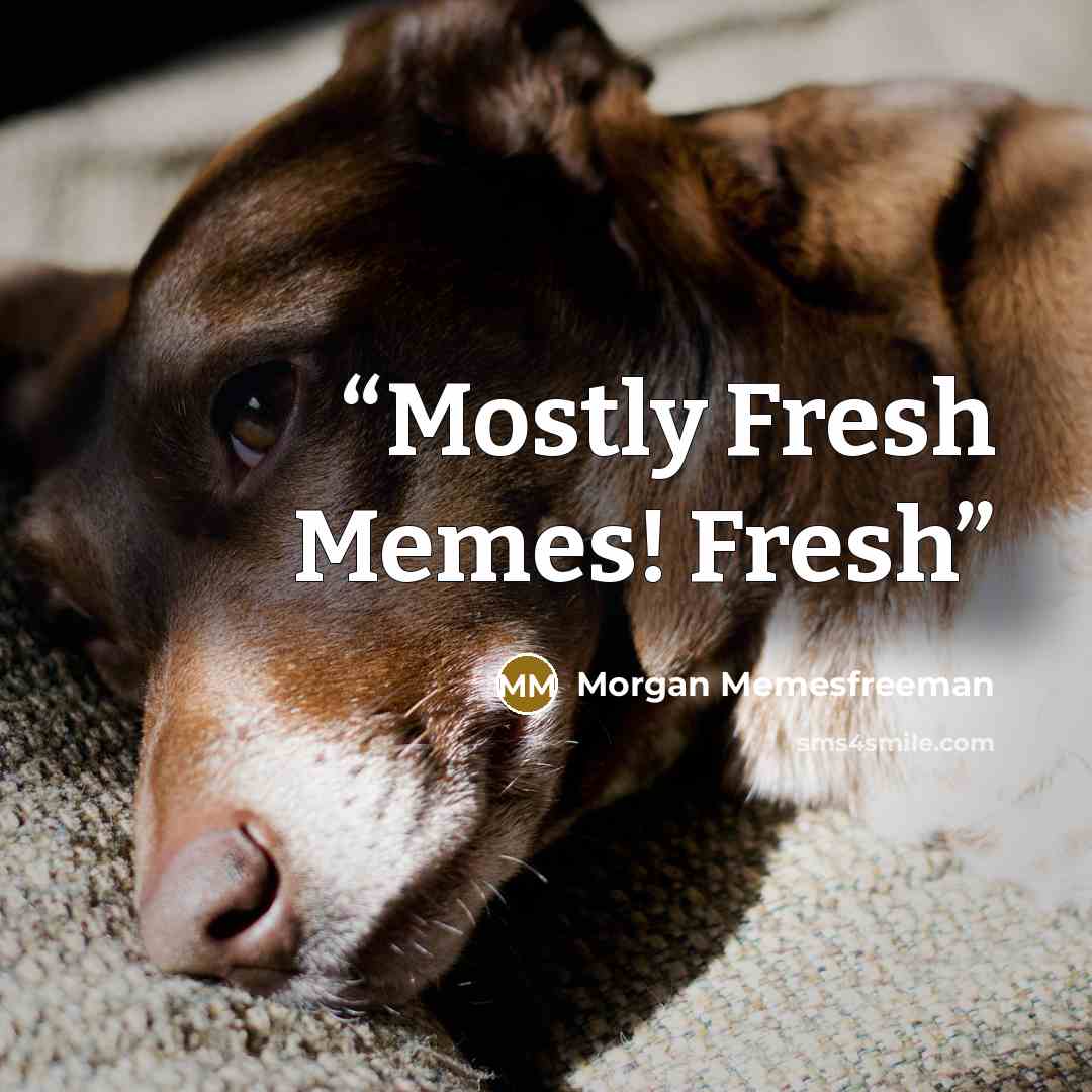 “Mostly Fresh Memes! Fresh” quote by Morgan Memesfreeman
