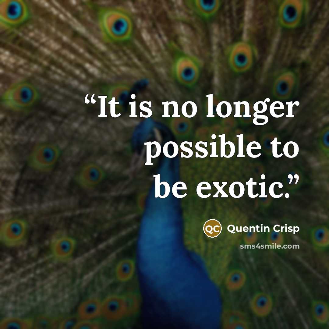 “It is no longer possible to be exotic.” quote by Quentin Crisp