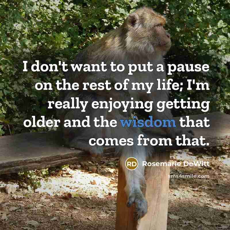 “I don't want to put a pause on the rest…” quote by Rosemarie DeWitt