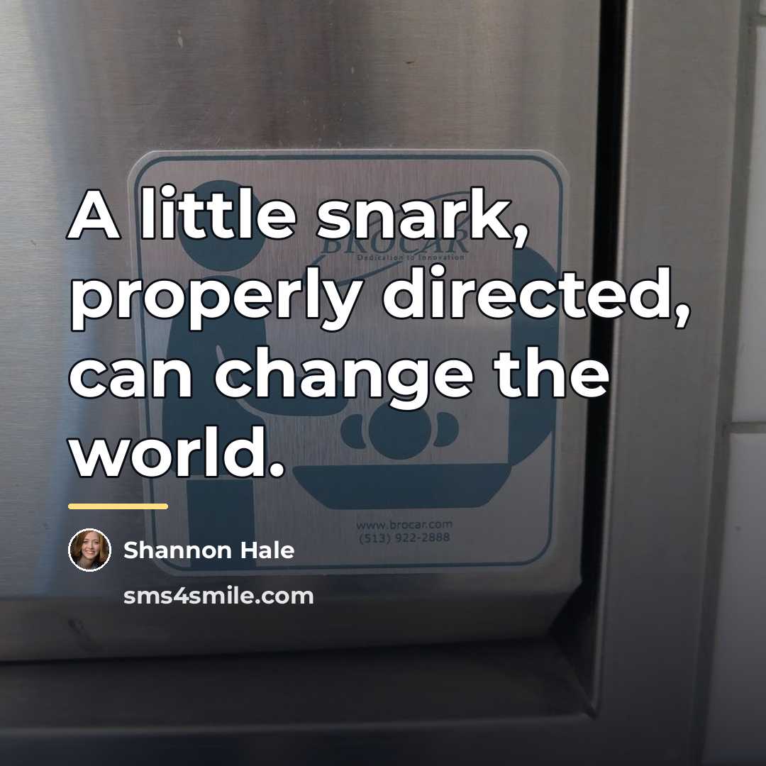 “A little snark, properly directed, can change the world.…” quote by Shannon Hale