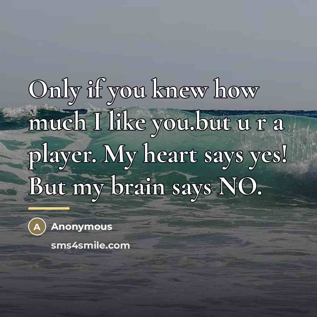 “Only if you knew how much I like you.but u…” quote by Anonymous
