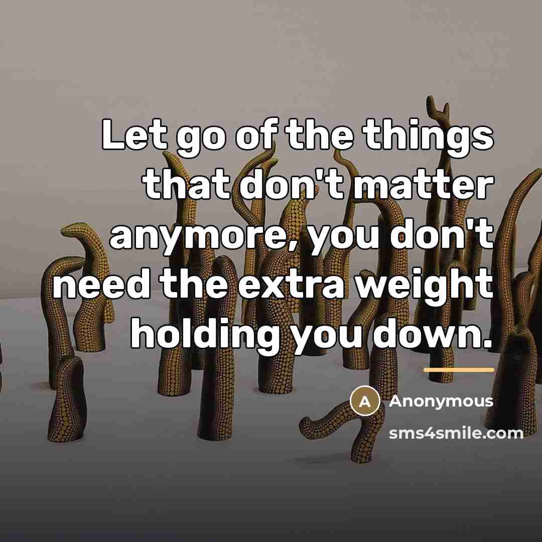 “Let go of the things that don't matter anymore, you…” quote by Anonymous