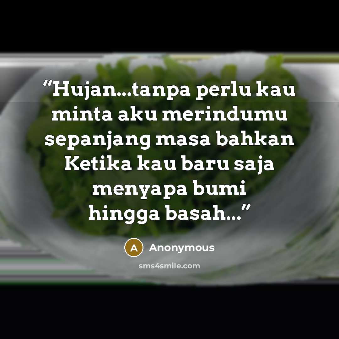 “Hujan...tanpa perlu kau minta aku merindumu sepanjang masa bahkan Ketika kau baru saja menyapa bumi hingga basah...” quote by Anonymous