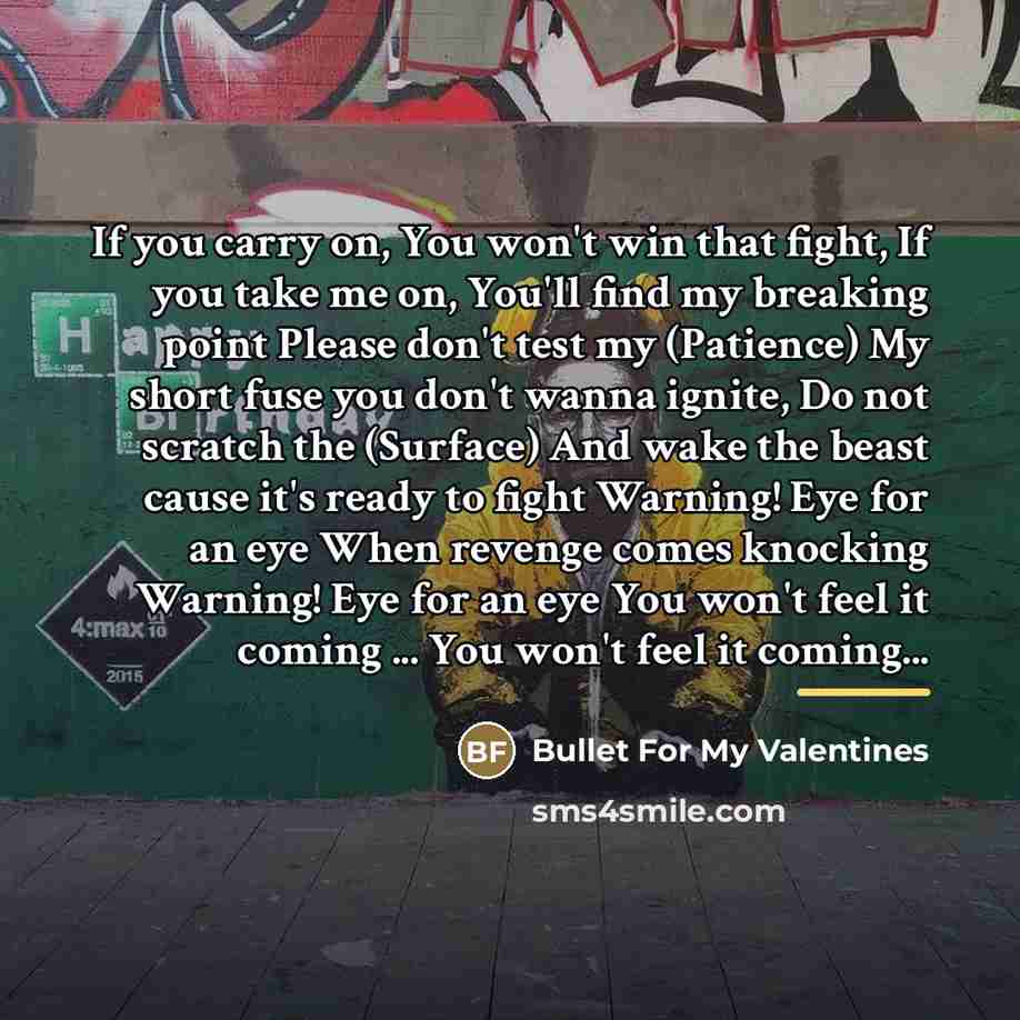 “If you carry on, You won't win that fight, If…” quote by Bullet For My Valentines