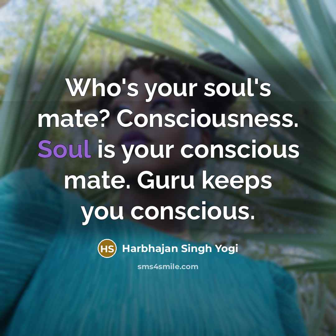 “Who's your soul's mate? Consciousness. Soul is your conscious mate.…” quote by Harbhajan Singh Yogi