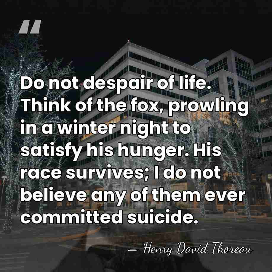 Do not despair of life. Think of the fox, prowling in a&hellip; - Henry David Thoreau
