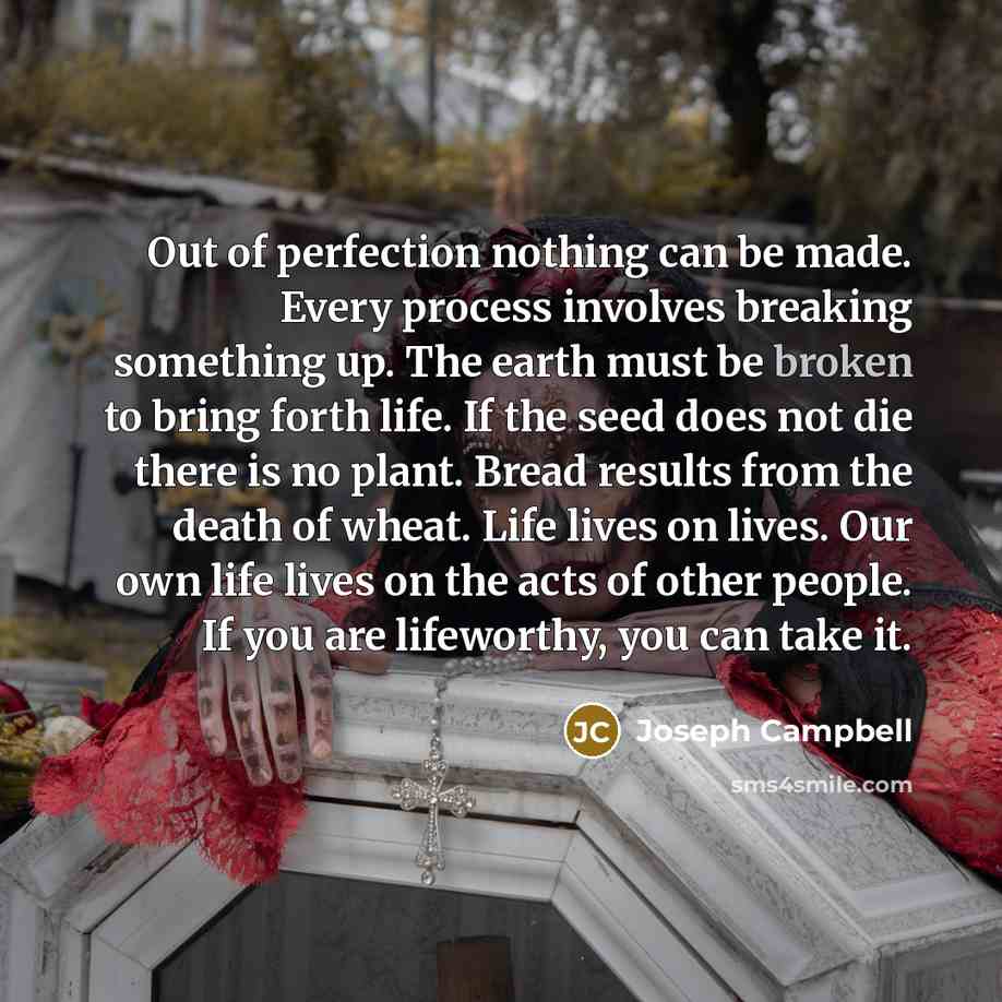 “Out of perfection nothing can be made. Every process involves…” quote by Joseph Campbell