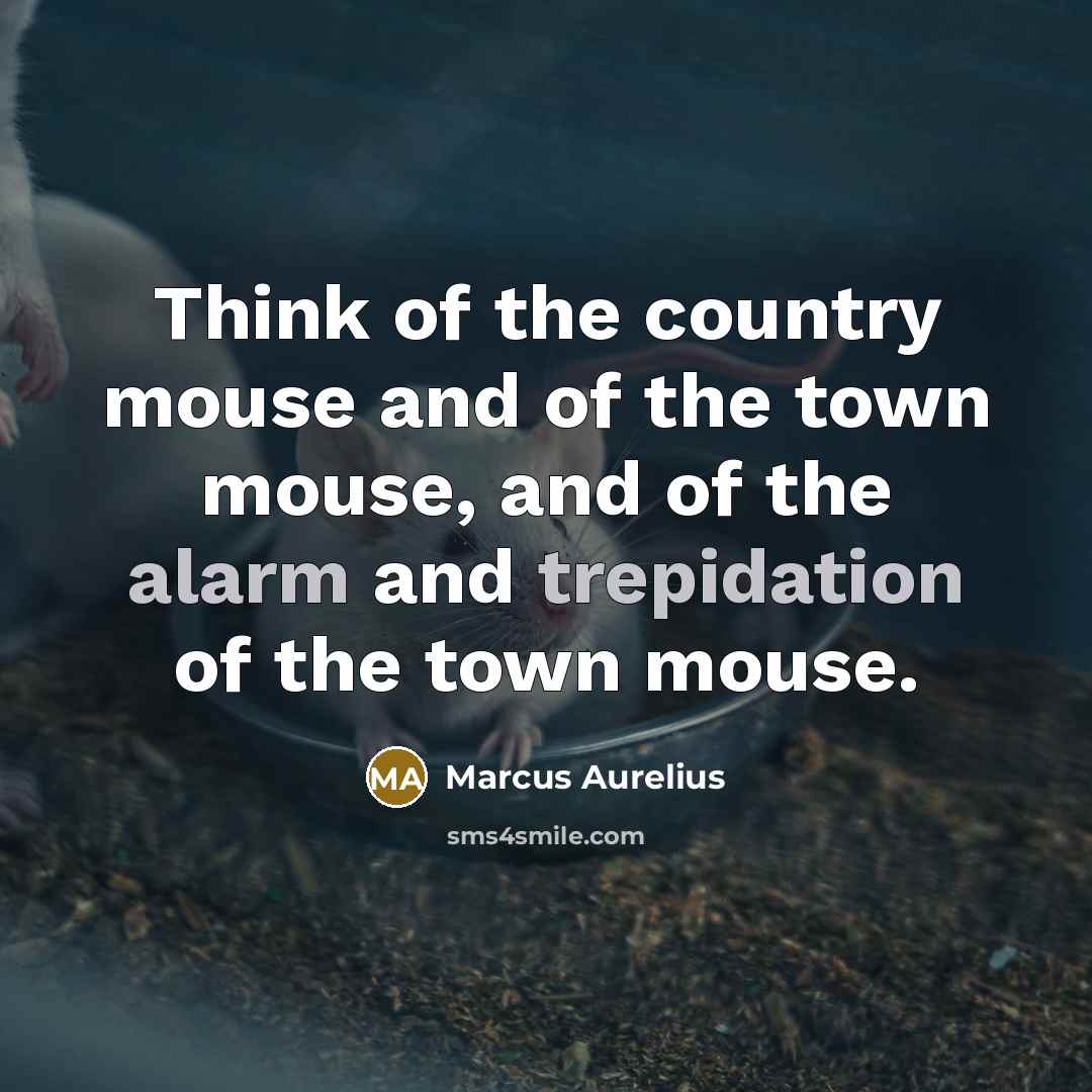 “Think of the country mouse and of the town mouse,…” quote by Marcus Aurelius