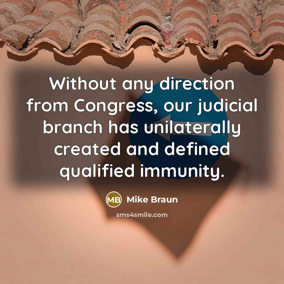 “Without any direction from Congress, our judicial branch has unilaterally…” quote by Mike Braun