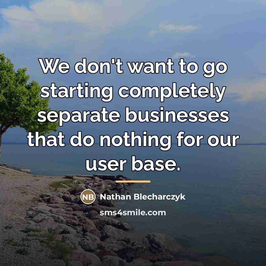 “We don't want to go starting completely separate businesses that…” quote by Nathan Blecharczyk