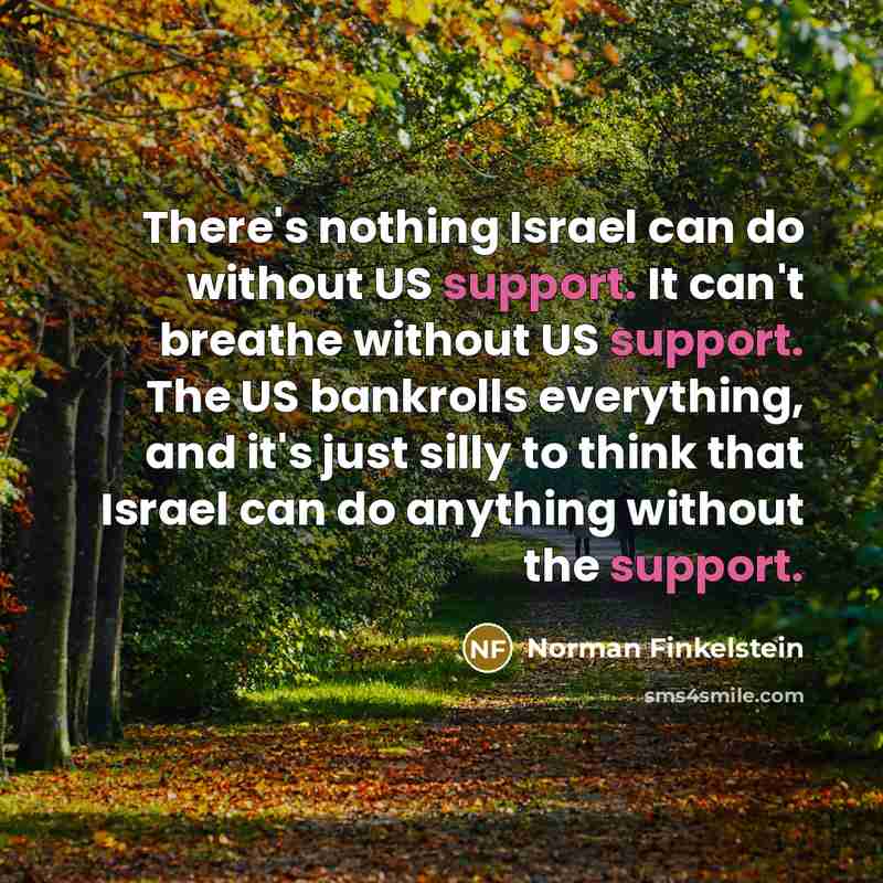 “There's nothing Israel can do without US support. It can't…” quote by Norman Finkelstein