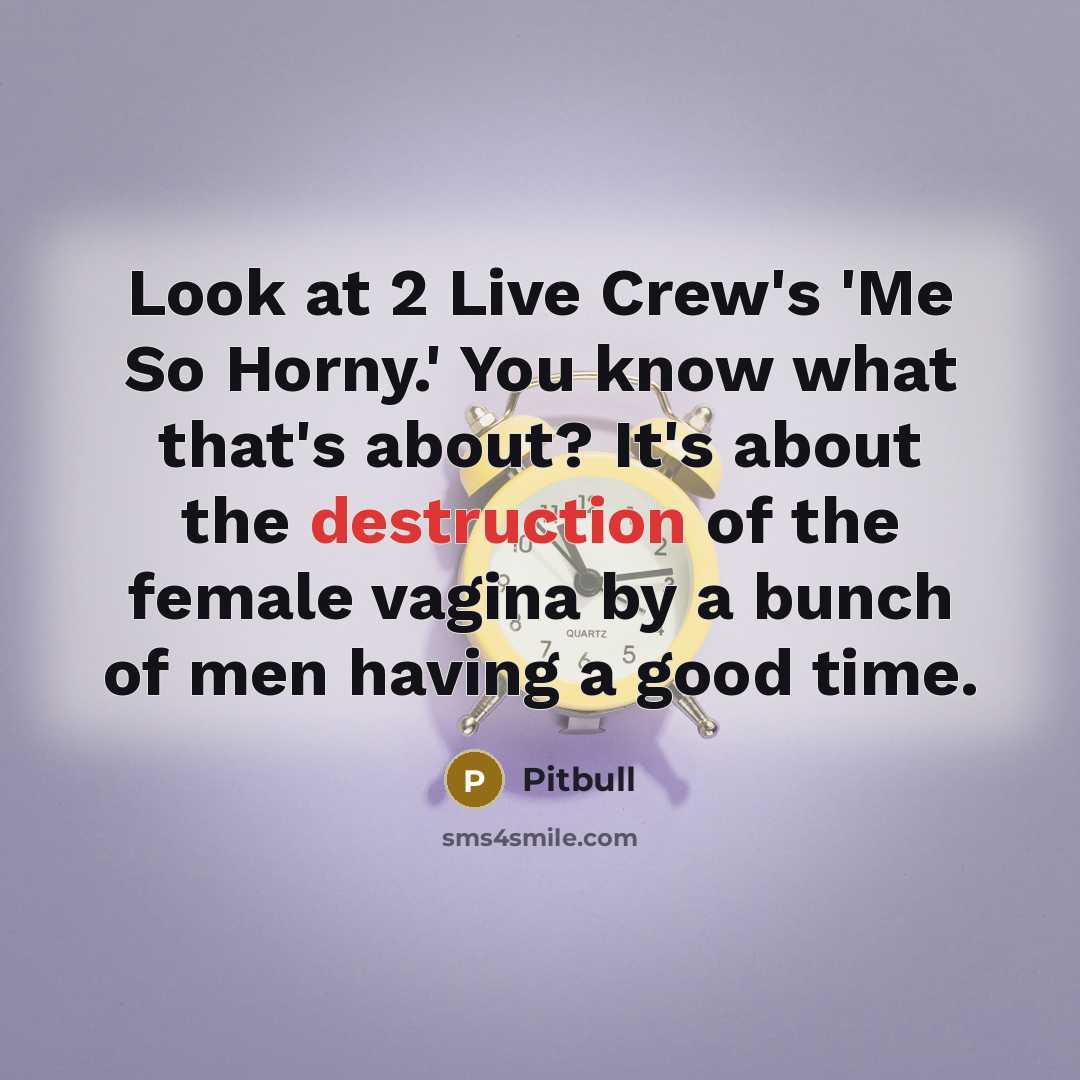 “Look at 2 Live Crew's 'Me So Horny.' You know…” quote by Pitbull