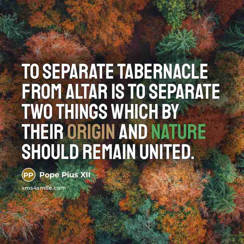 “To separate tabernacle from altar is to separate two things which by their origin and nature should remain united.” quote by Pope Pius XII