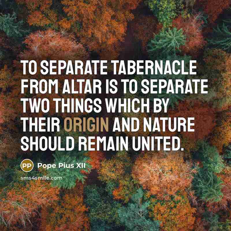 “To separate tabernacle from altar is to separate two things…” quote by Pope Pius XII