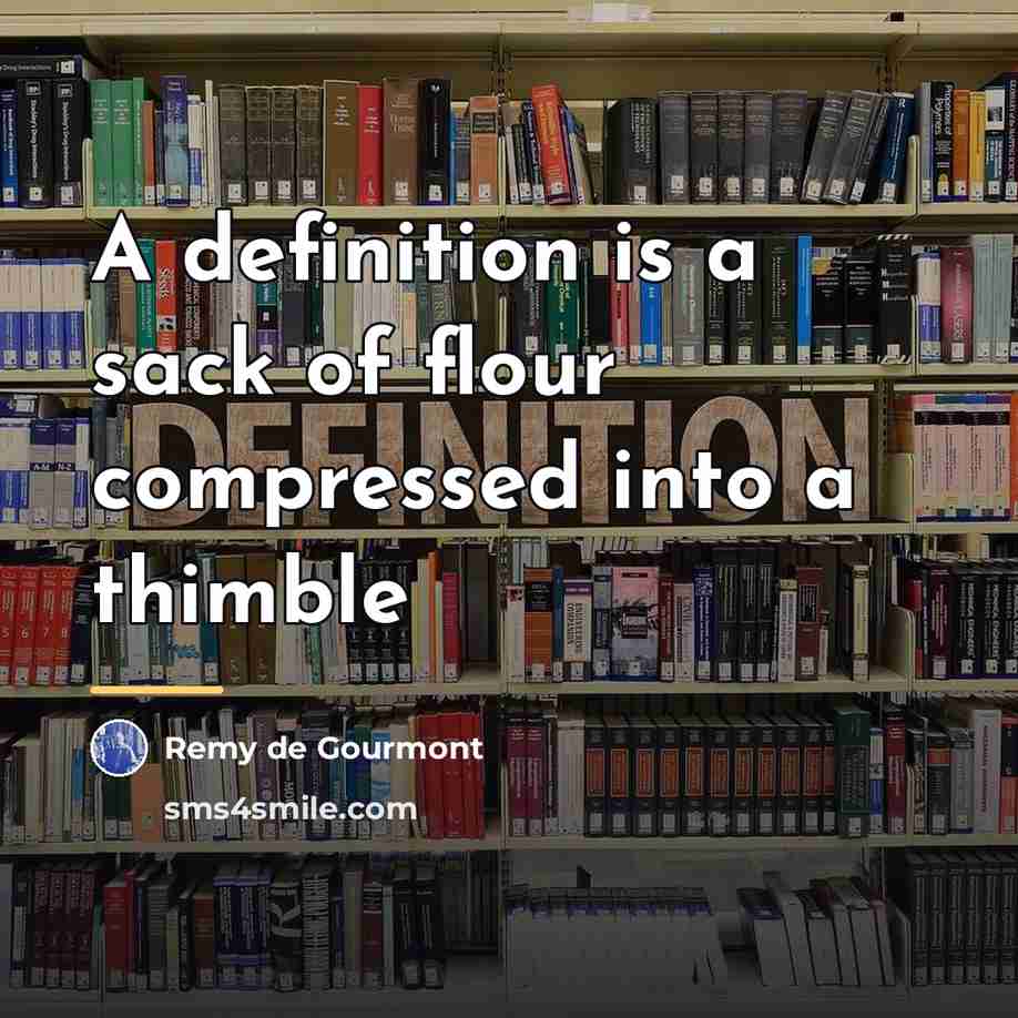 “A definition is a sack of flour compressed into a…” quote by Remy de Gourmont