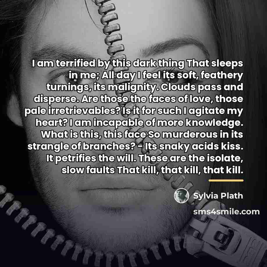 “I am terrified by this dark thing That sleeps in…” quote by Sylvia Plath