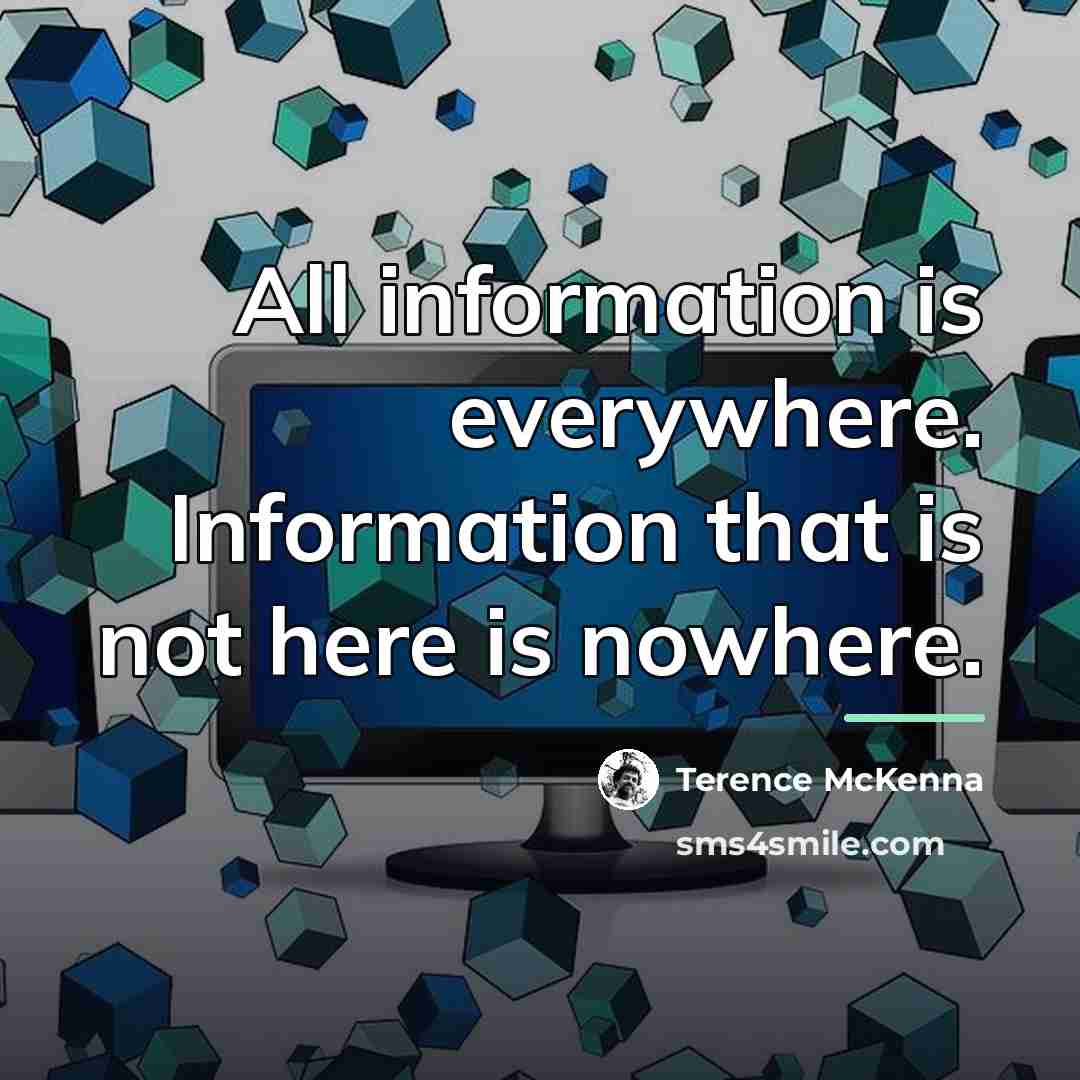 “All information is everywhere. Information that is not here is…” quote by Terence McKenna