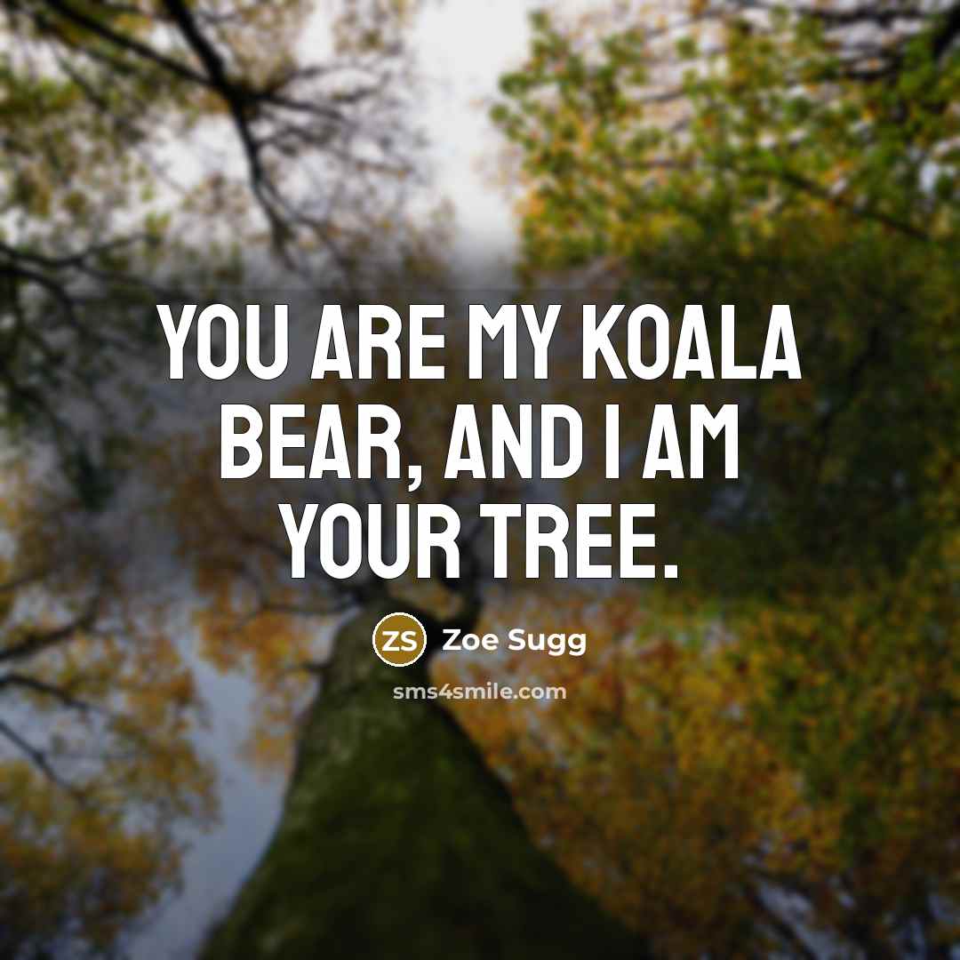 “You are my koala bear, and I am your tree.” quote by Zoe Sugg