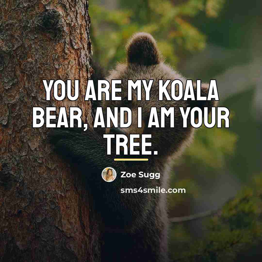 “You are my koala bear, and I am your tree.…” quote by Zoe Sugg