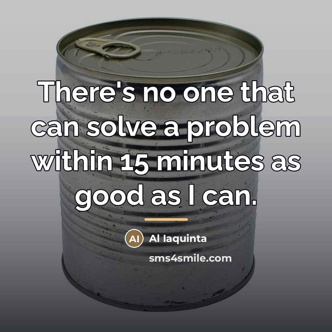 “There's no one that can solve a problem within 15…” quote by Al Iaquinta