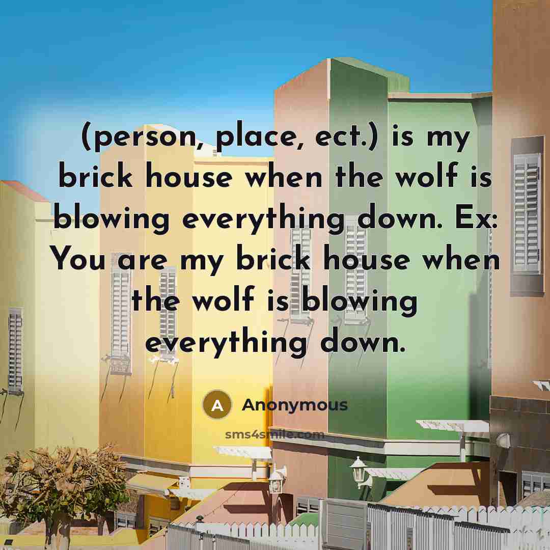 “(person, place, ect.) is my brick house when the wolf is blowing everything down. Ex: You are my brick house when the wolf is blowing everything down.” quote by Anonymous
