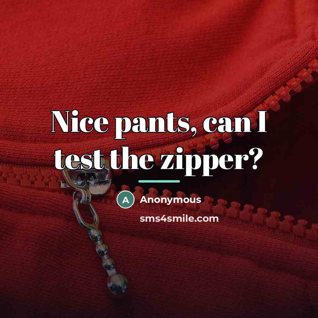 “Nice pants, can I test the zipper?…” quote by Anonymous