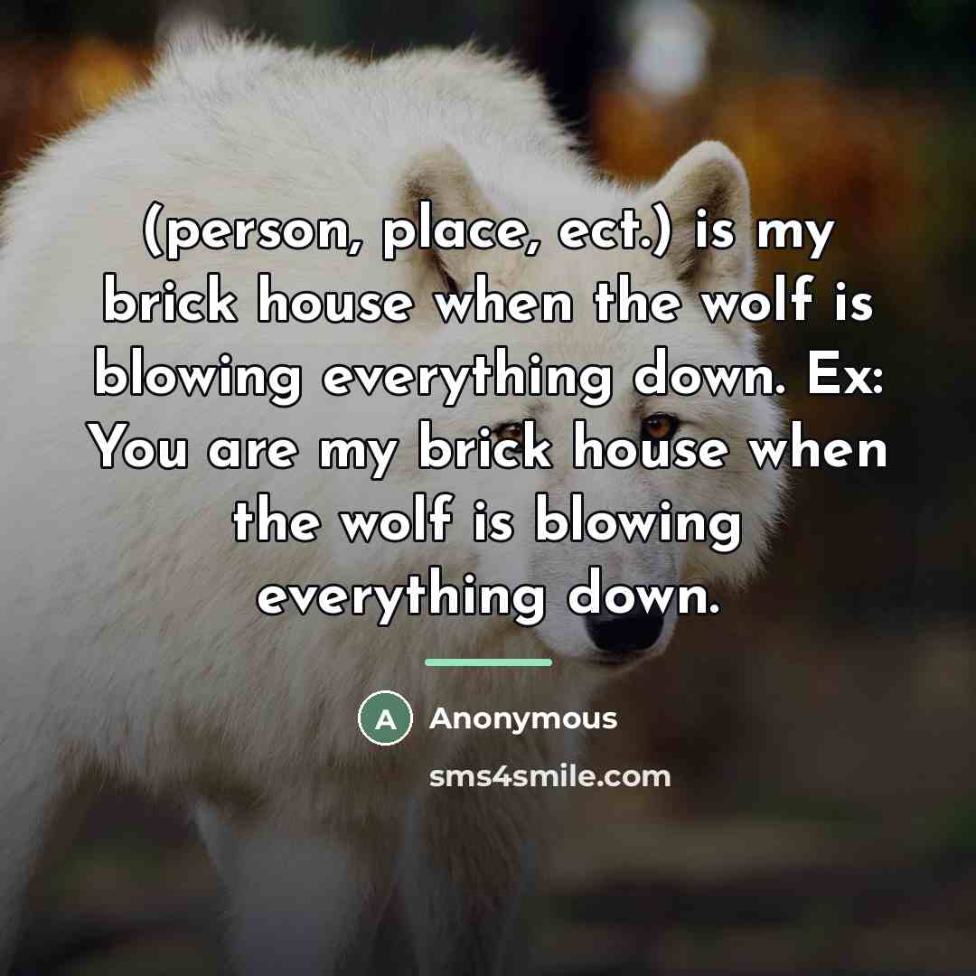 “(person, place, ect.) is my brick house when the wolf…” quote by Anonymous