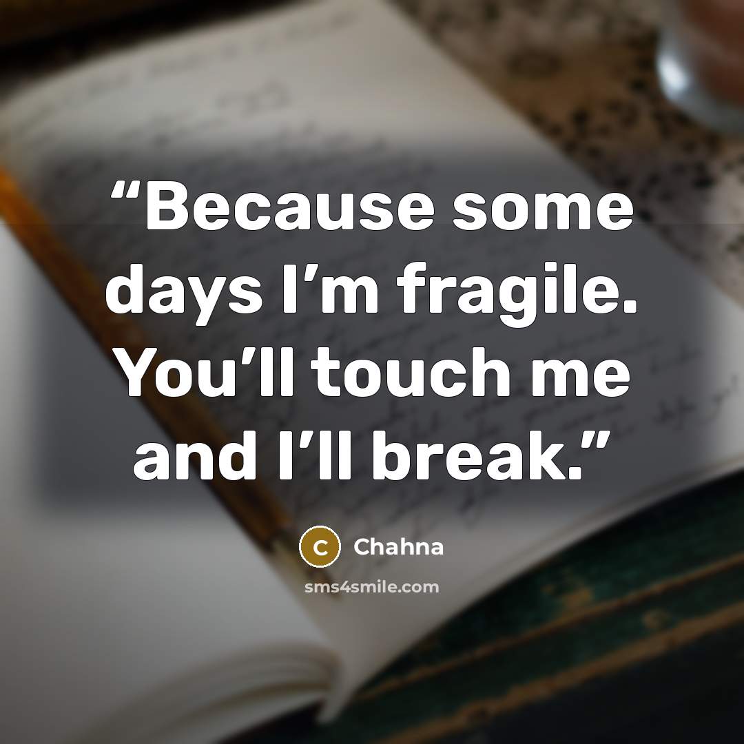 “Because some days I’m fragile. You’ll touch me and I’ll break.” quote by Chahna