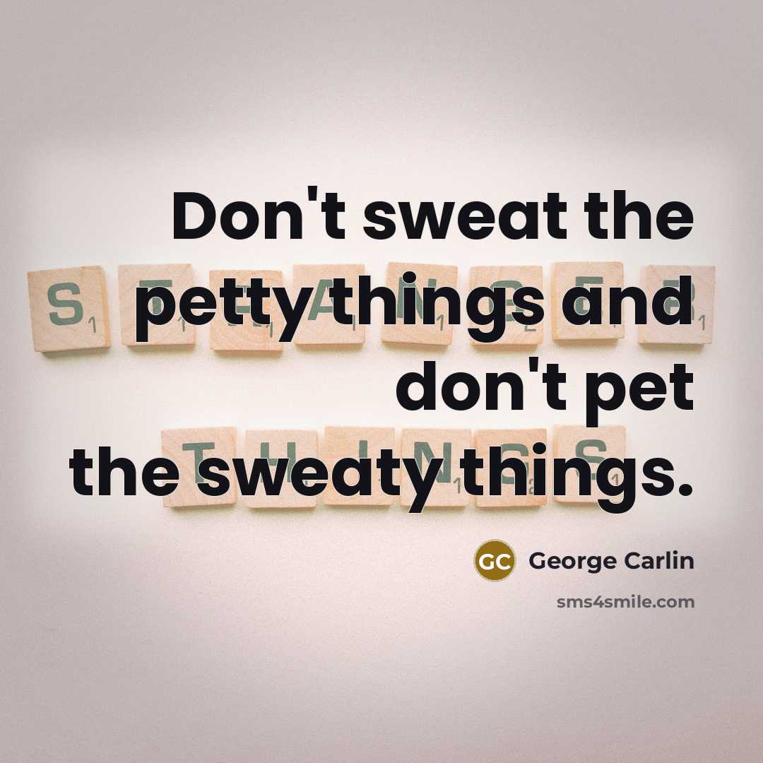 “Don't sweat the petty things and don't pet the sweaty…” quote by George Carlin