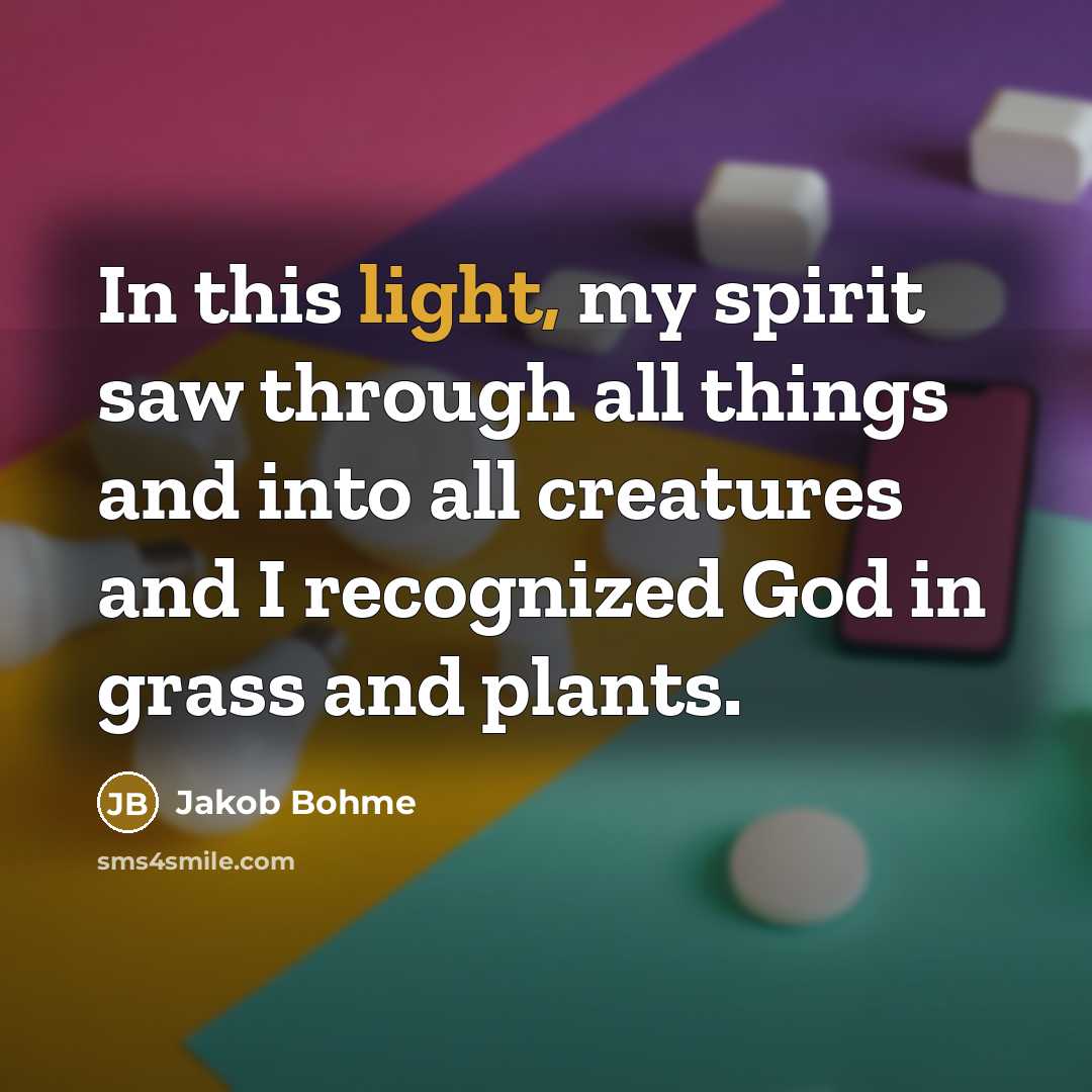 “In this light, my spirit saw through all things and…” quote by Jakob Bohme