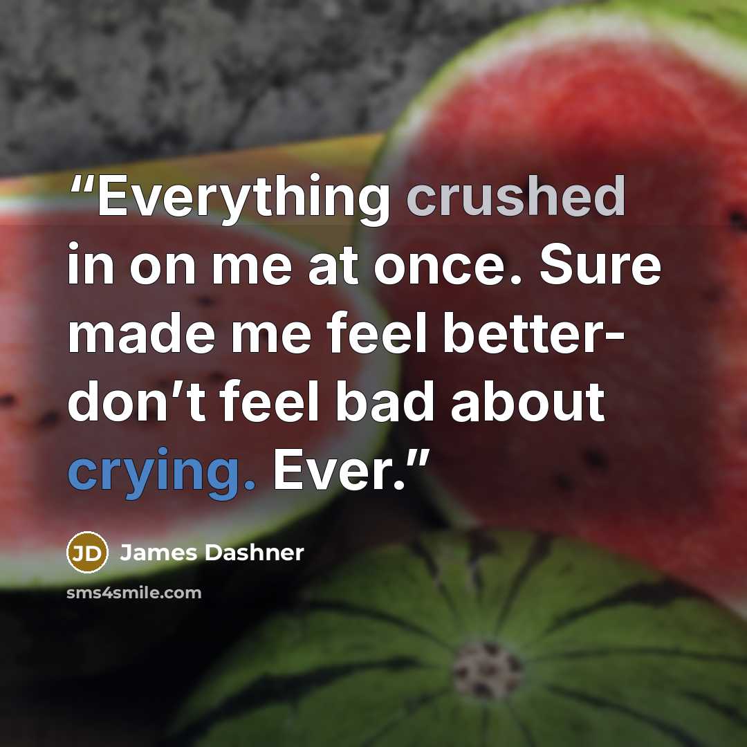 “Everything crushed in on me at once. Sure made me feel better- don’t feel bad about crying. Ever.” quote by James Dashner