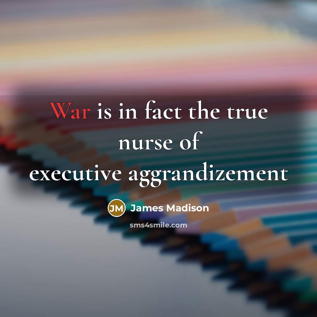 “War is in fact the true nurse of executive aggrandizement…” quote by James Madison