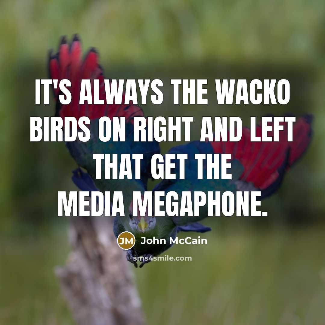 “It's always the wacko birds on right and left that…” quote by John McCain