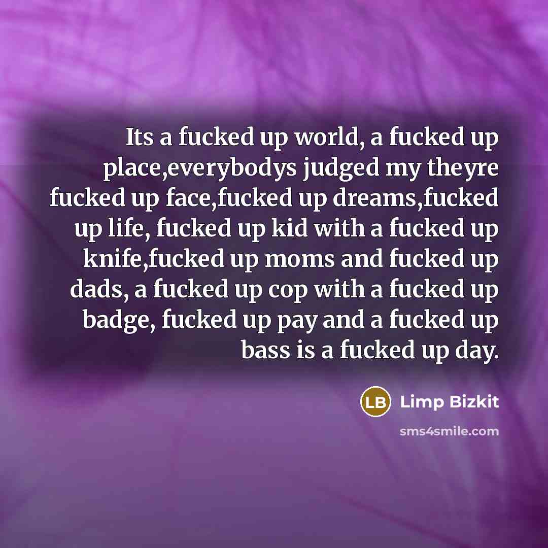 “Its a fucked up world, a fucked up place,everybodys judged my theyre fucked up face,fucked up dreams,fucked up life, fucked up kid with a fucked up knife,fucked up moms and fucked up dads, a fucked up cop with a fucked up badge, fucked up pay and a fucked up bass is a fucked up day.” quote by Limp Bizkit