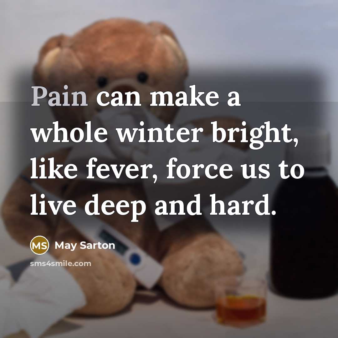 “Pain can make a whole winter bright, like fever, force…” quote by May Sarton