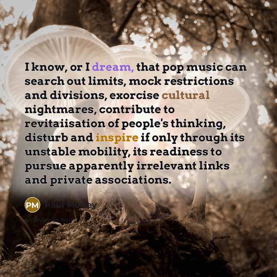 “I know, or I dream, that pop music can search…” quote by Paul Morley