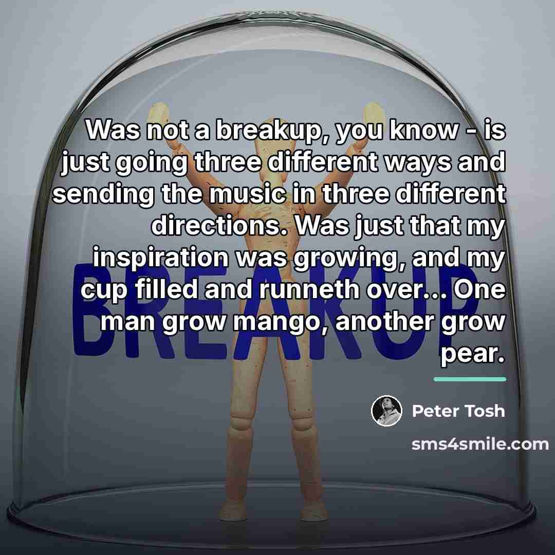 “Was not a breakup, you know - is just going…” quote by Peter Tosh
