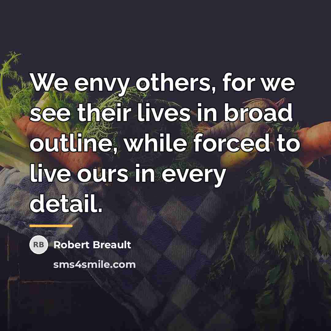 “We envy others, for we see their lives in broad…” quote by Robert Breault