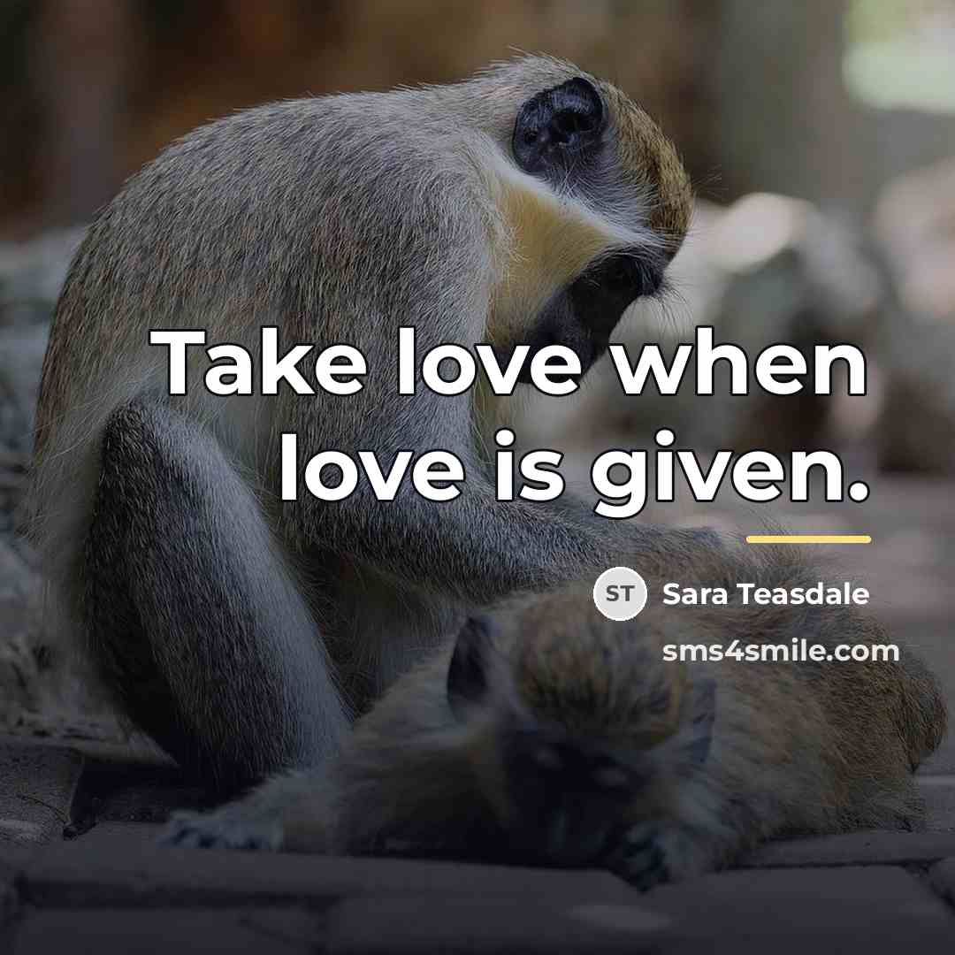 “Take love when love is given.…” quote by Sara Teasdale