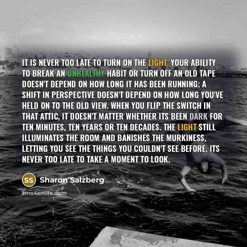 “It is never too late to turn on the light.…” quote by Sharon Salzberg