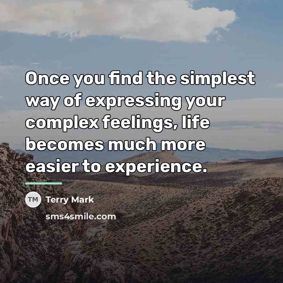 “Once you find the simplest way of expressing your complex…” quote by Terry Mark