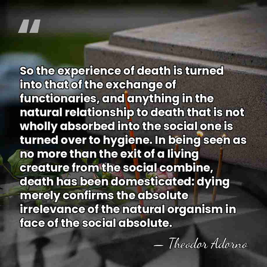 So the experience of death is turned into that of the exchange&hellip; - Theodor Adorno