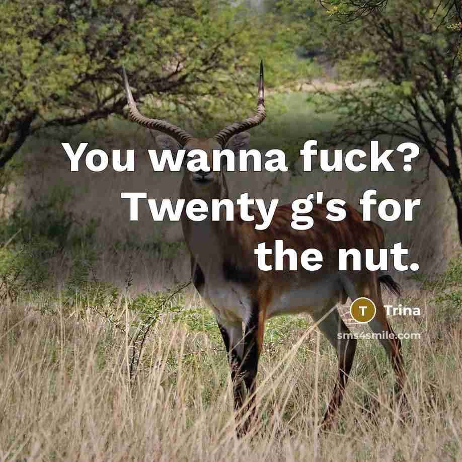 “You wanna fuck? Twenty g's for the nut.…” quote by Trina