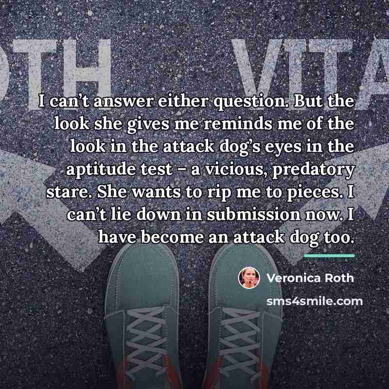 “I can’t answer either question. But the look she gives…” quote by Veronica Roth