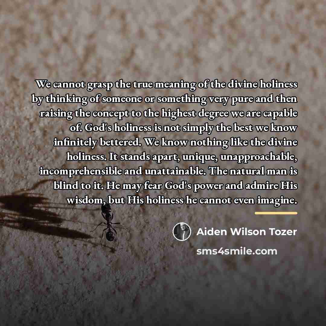 “We cannot grasp the true meaning of the divine holiness…” quote by Aiden Wilson Tozer