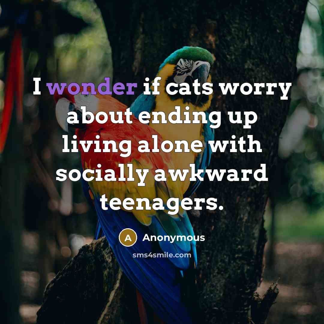 “I wonder if cats worry about ending up living alone…” quote by Anonymous