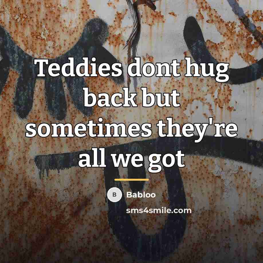 “Teddies dont hug back but sometimes they're all we got…” quote by Babloo