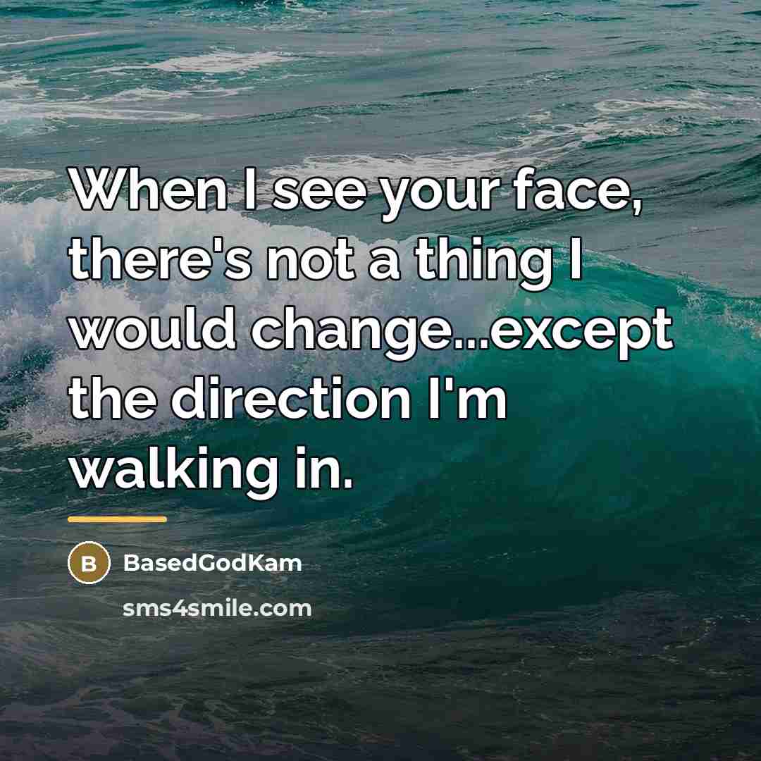 “When I see your face, there's not a thing I…” quote by BasedGodKam